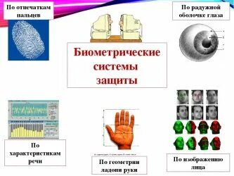 Какие данные относятся к биометрическим
