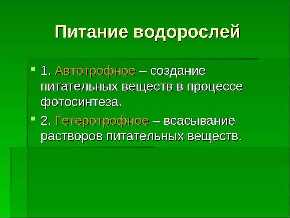 Ламинария автотроф. Способ питания водорослей. Питание водорослей кратко. Автотрофное питание водорослей. Водоросли по типу питания.