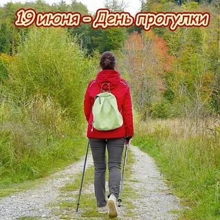 День прогулки 2024
