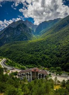 Форест северная осетия