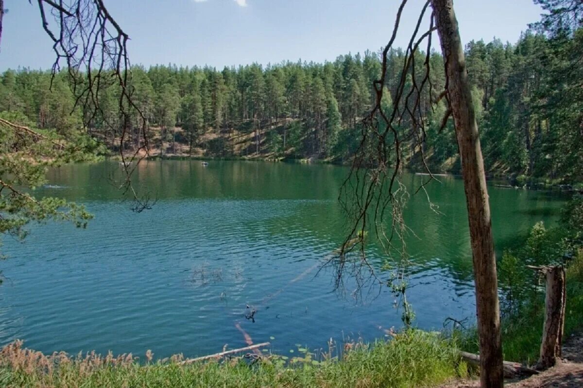 орловское полесье озеро. караганда парк у озеро. центральный парк нью-йорка фото. полесье орел беседки. центр озеро.