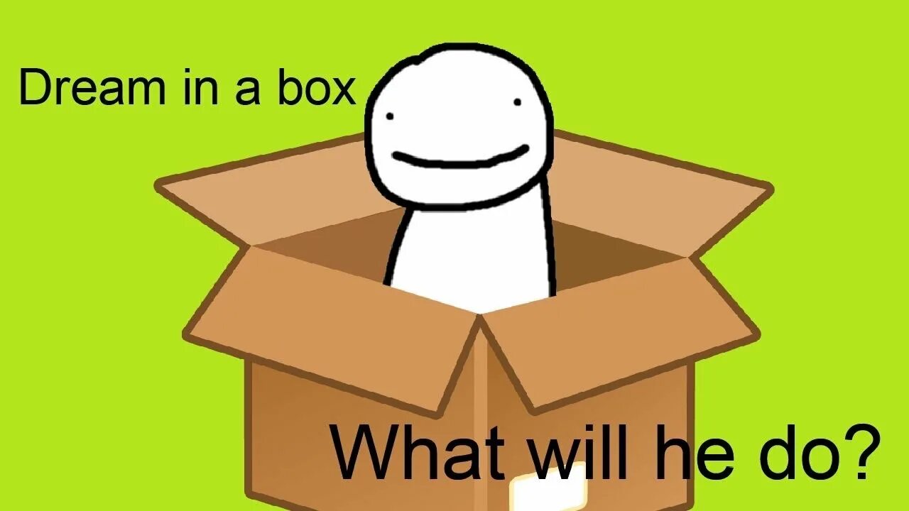 What the Box. In a Dream. What in the Box. Hashiro in a Box. What does this box