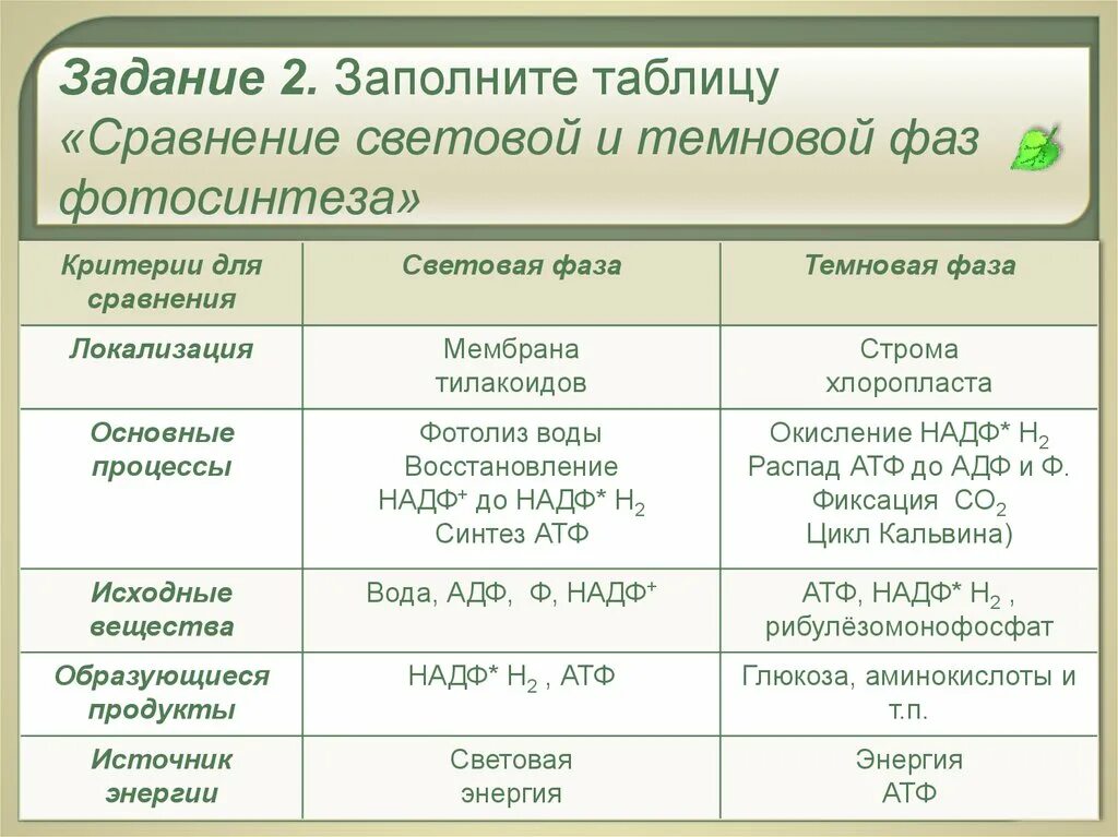 Таблица реакции фотосинтеза. Продукты световой и Темновой фазы фотосинтеза. Темновая фаза фотосинтеза конечные продукты. Фазы фотосинтеза световая и темновая таблица. Фотосинтез световая фаза и темновая фаза таблица.