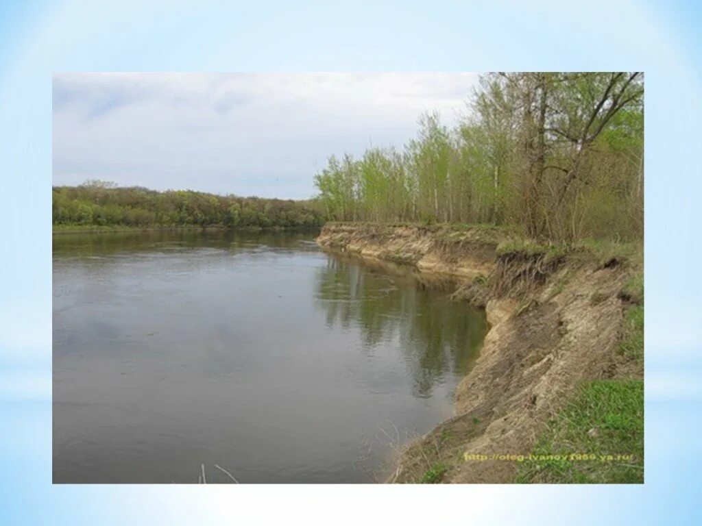 Жировские родники. Приток реки Дон Воронеж. Река Дон притоки реки. Внутренние воды Воронежской области. Реки нашей местности.