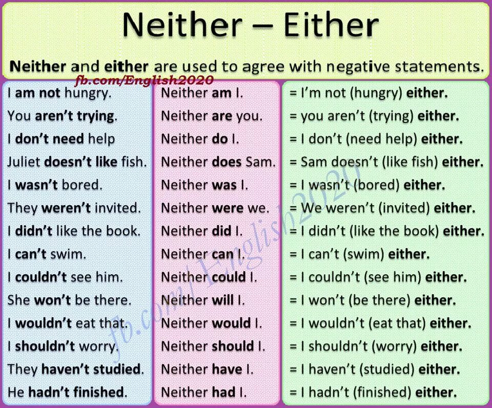 Do you agree with the statement. Neither either таблица. Neither either правило. Either neither употребление. Either neither both употребление.