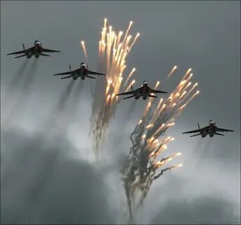 Отстрел лтц