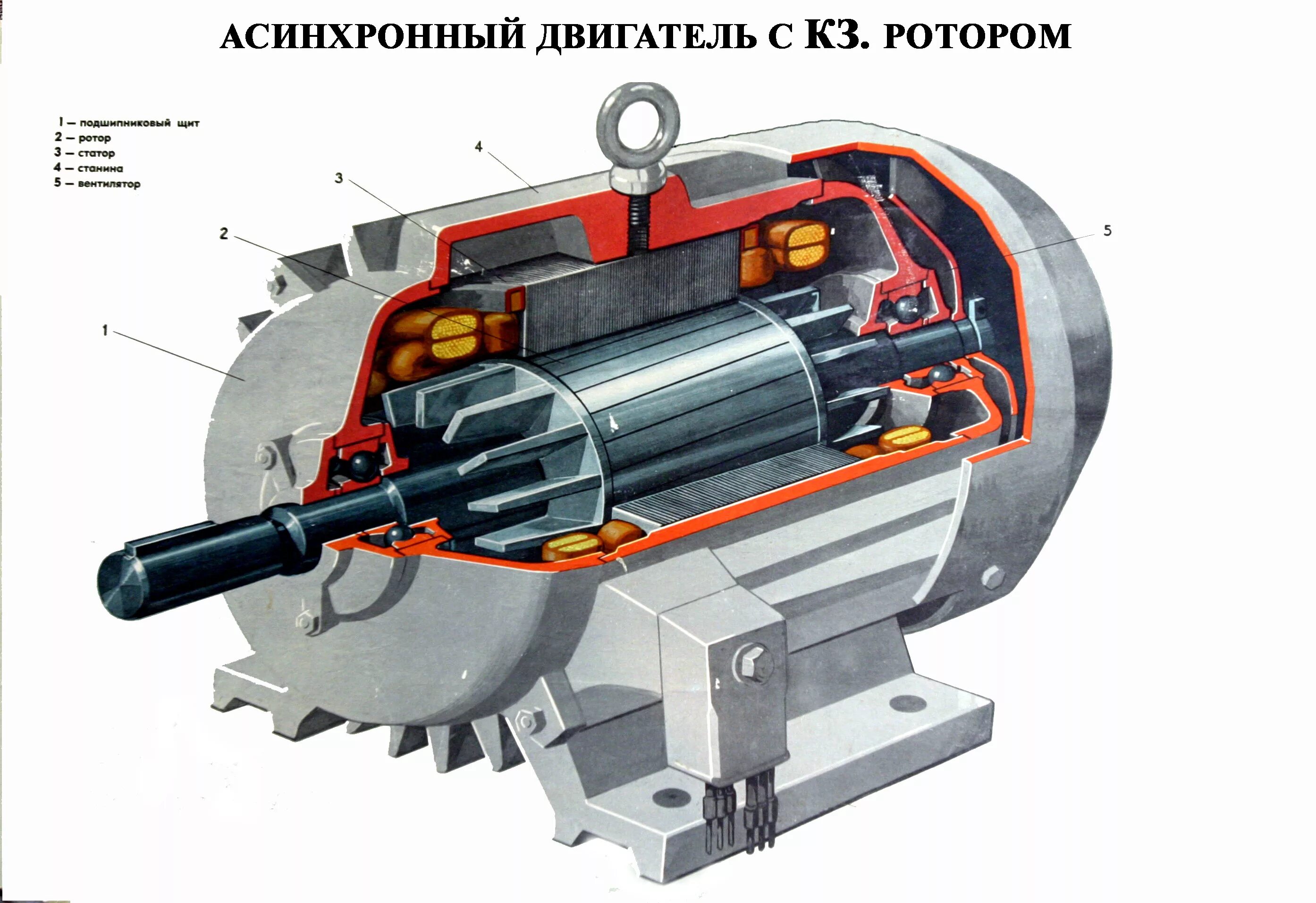Асинхронность c. Трехфазный электродвигатель статор и ротор. Асинхронный двигатель с короткозамкнутым ротором. Трехфазный асинхронный двигатель с короткозамкнутым ротором. Электродвигателя асинхронного5амн3152у3.