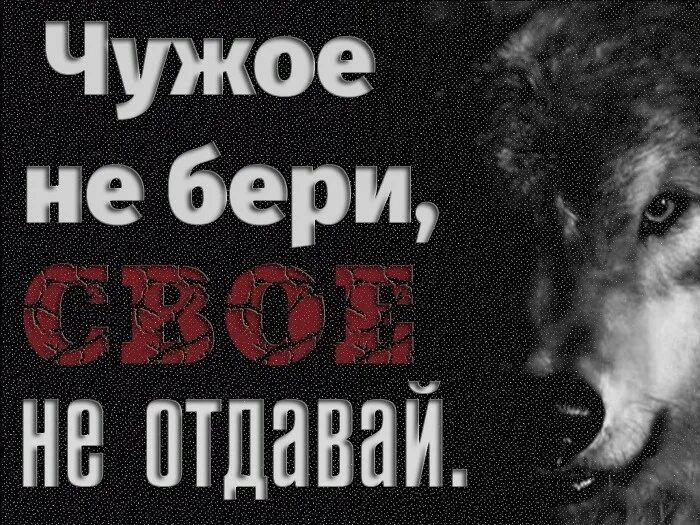 Ехал чужую