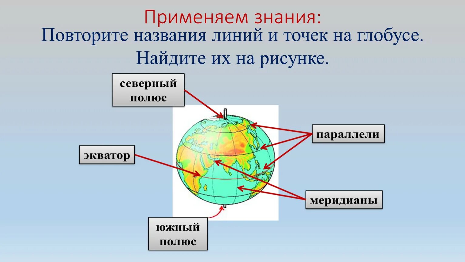 Названия линий и точек на глобусе. Глобус название линий. Условные линии на глобусе. Линии и точки на глобусе.