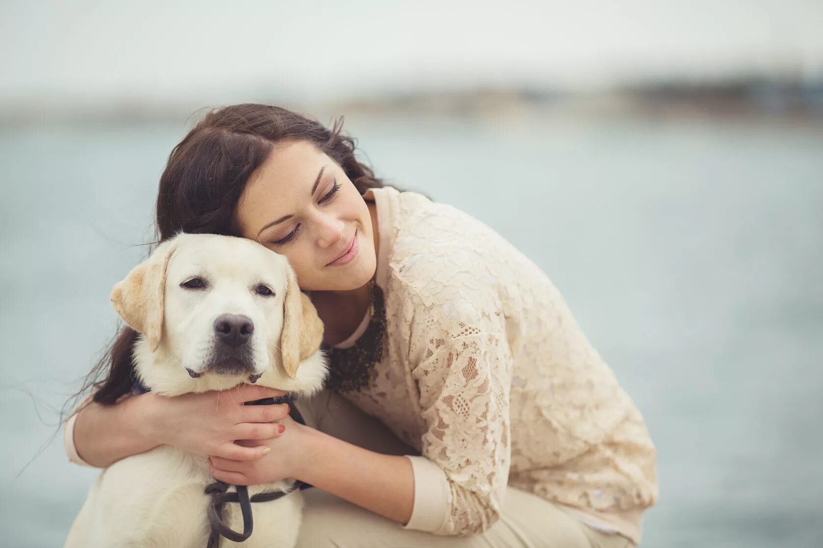 Животные любят женщин. Женщина обнимает собаку. Девушка с собакой. Фотосессия с лабрадором. Девушка с лабрадором.