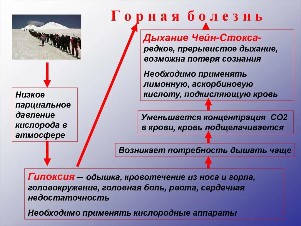 Болезнь при подъеме на высоту. Патогенез горной болезни. Механизм развития горной болезни. Горная болезнь патофизиология. Высотная болезнь патогенез.