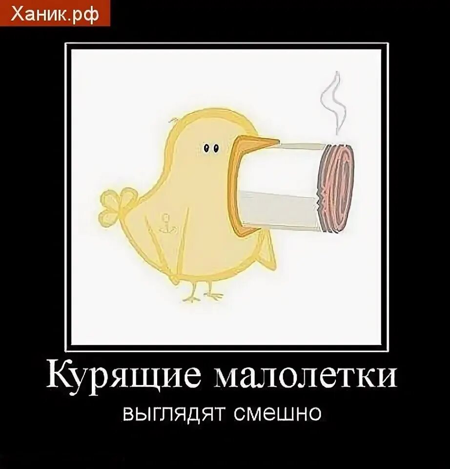 не выглядел смешным. если я смешно выгляжу то одевал меня папа. не боюсь казаться смешной. шрек лицо. не выглядел смешным.