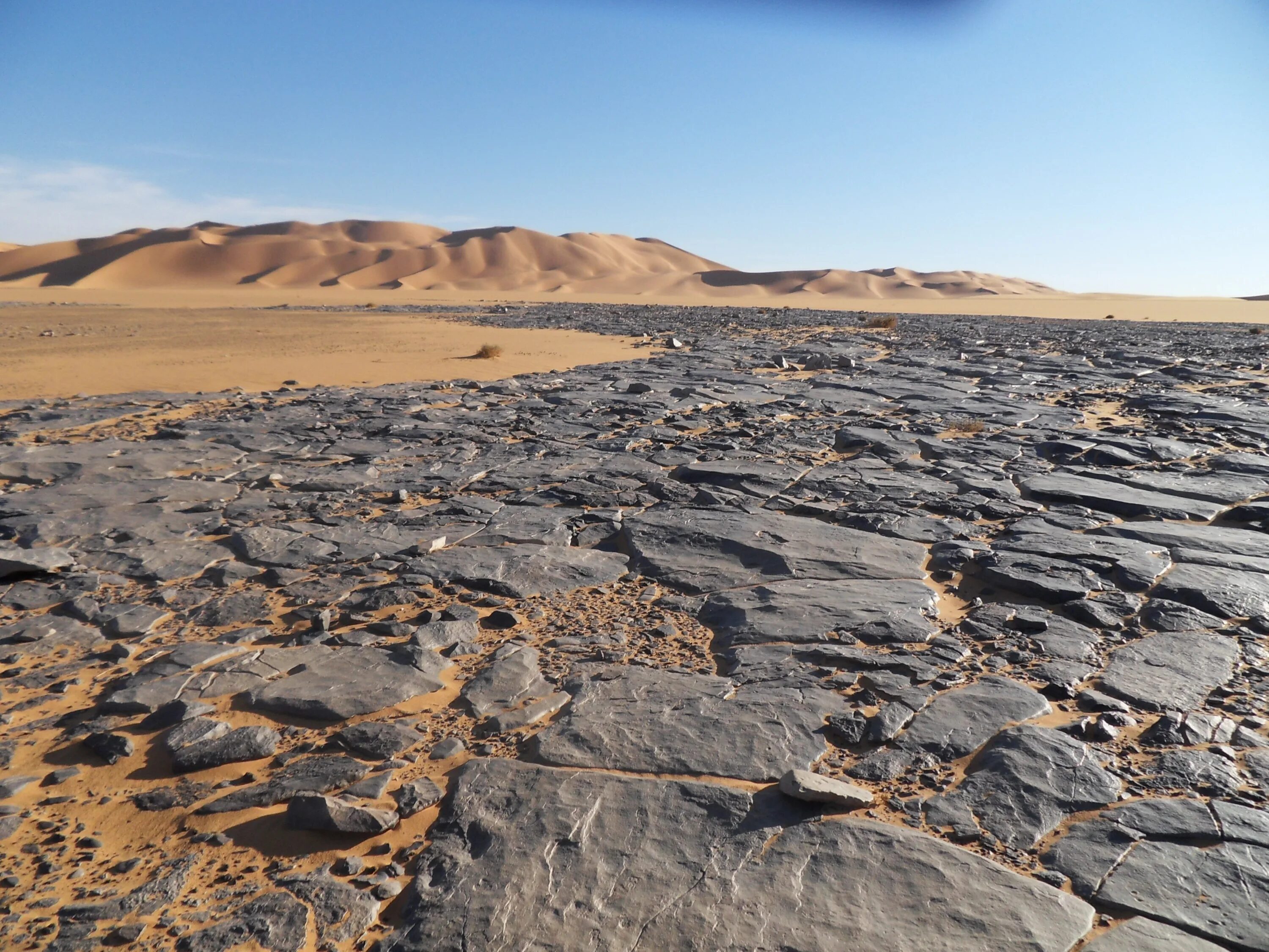 Ground stone. Хамада пустыня. Хамада каменистая пустыня. Каменистая пустыня в Алжире. Хамада каменистая пустыня Алжир.
