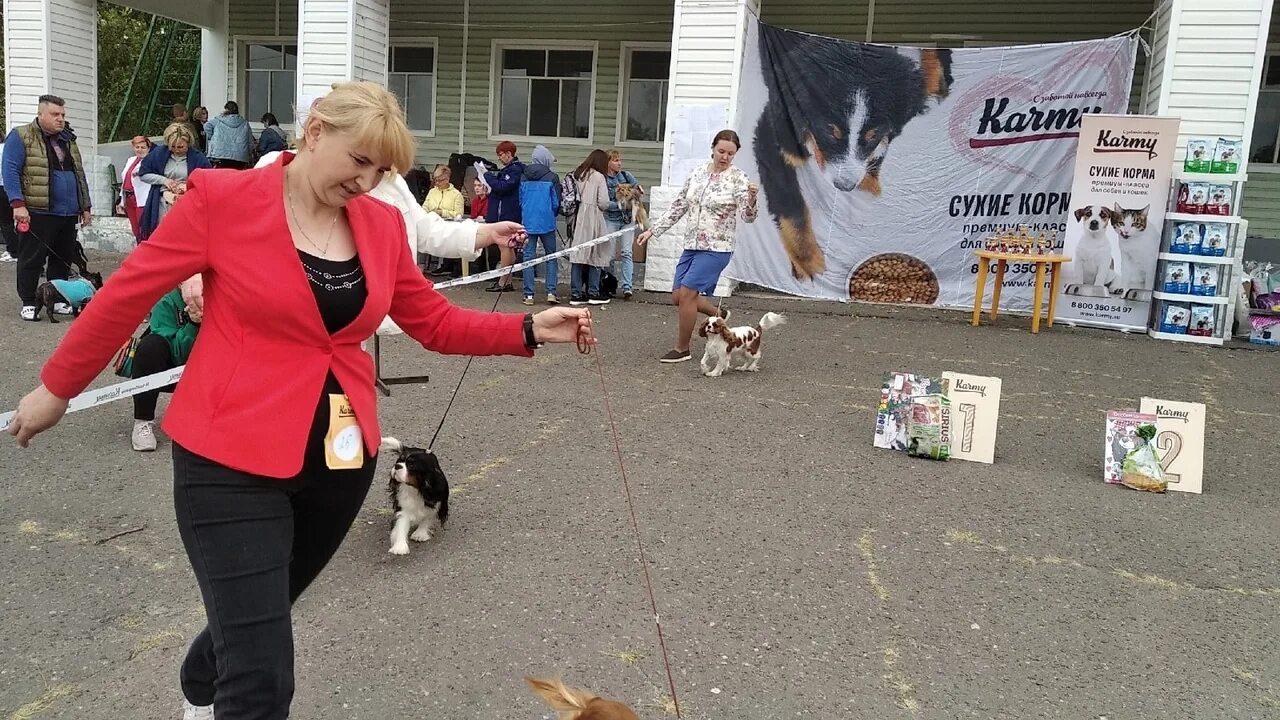 Выставка собак ярославль 14 апреля. Выставка собак Тамбов. На выставке собак. Выставка собак Тамбов 2023. Выставка собак Тамбов 2020-.