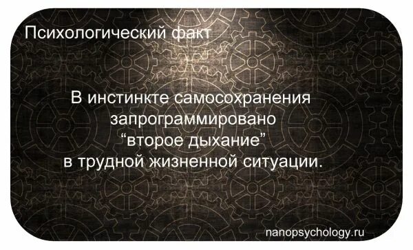 Инстинкты цитаты
