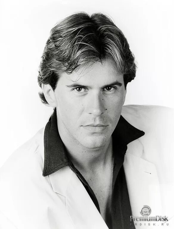 английский пойнтер рыжий. пароди. пароди. мальтипу спаниель. аусси австралийская овчарка.