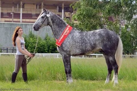 Кфх орловский