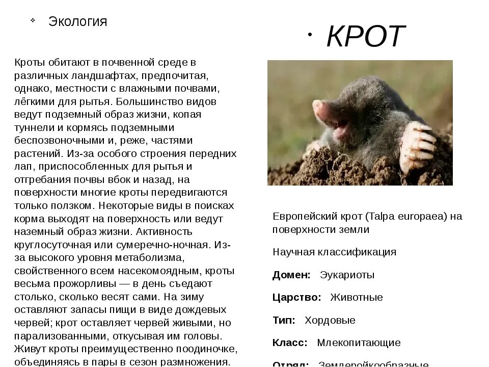 В какой среде обитает крот