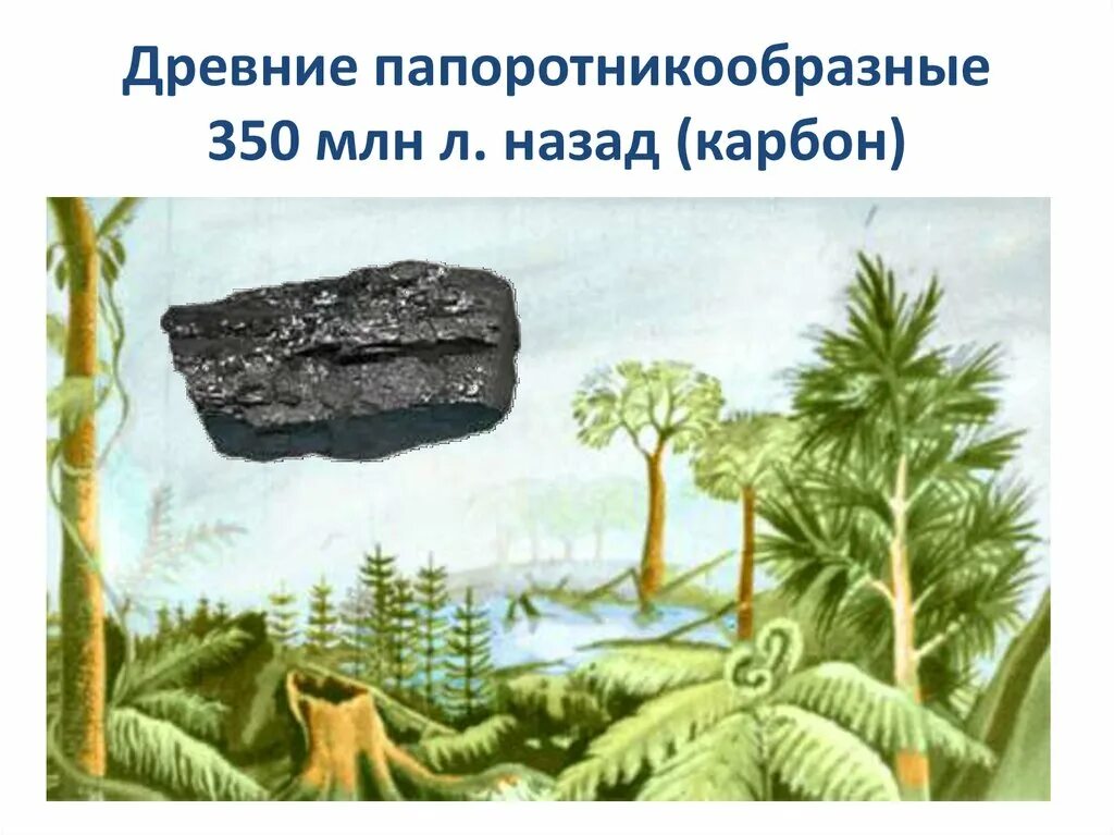 Залежи каменного угля в каменноугольном периоде