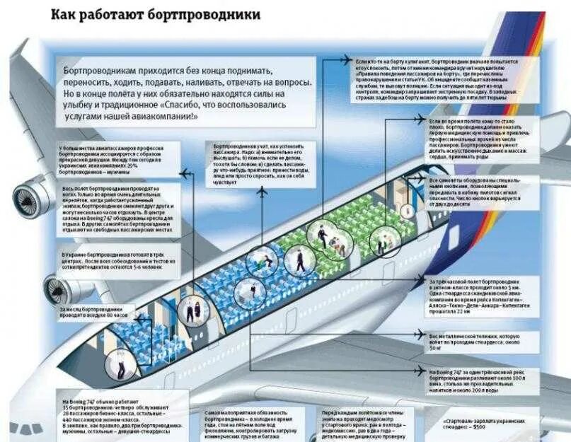 Сколько получают бортпроводники. Пособие для бортпроводников. Технологический график бортпроводников. Сколько зарабатывает Бортпроводник.