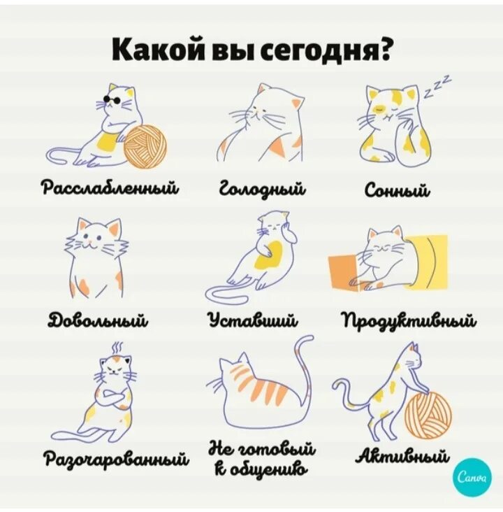 Тест про котов. Какой ты сегодня. Какой ты сегодня котик. Кто ты сегодня картинки. Какой ты сегодня картинки.