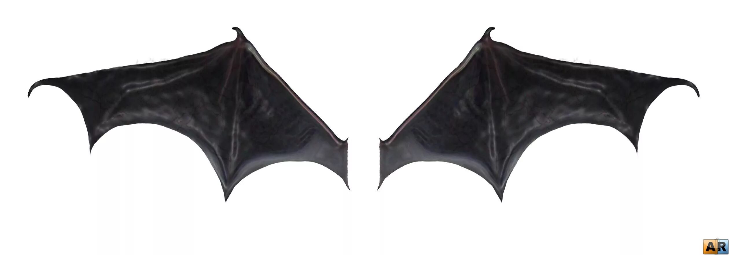 строение крыла летучей мыши. валюта крыла летучей мыши. валюта крыла летучей мыши. строение крыла рукокрылых. валюта крыла летучей мыши.