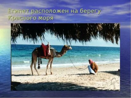 На берегах какой реки расположен египет