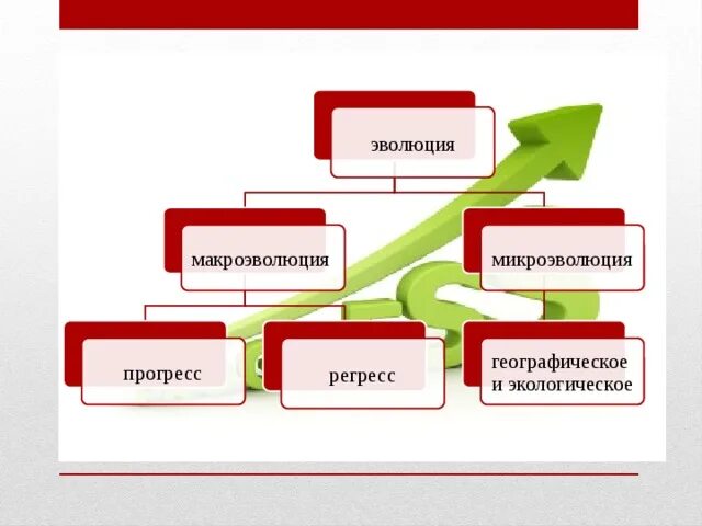 Признаки макроэволюции и микроэволюции. Микроэволюция факторы. Факторы макроэволюции. Факторы микроэволюции. Микроэволюция и Макроэволюция.