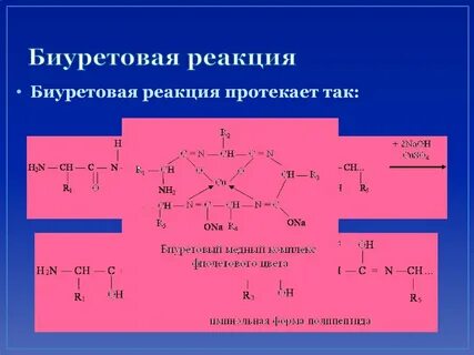 Определение белка биуретовым методом принцип метода