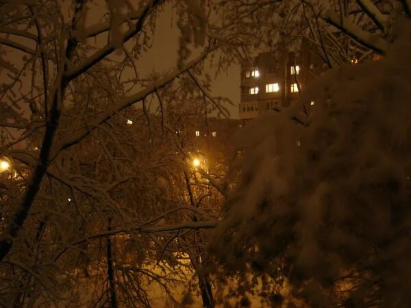 Свет в окне зимой. Вид из окна зима ночь. Ночные окна домов. Снег за окном. Темнота раннего зимнего