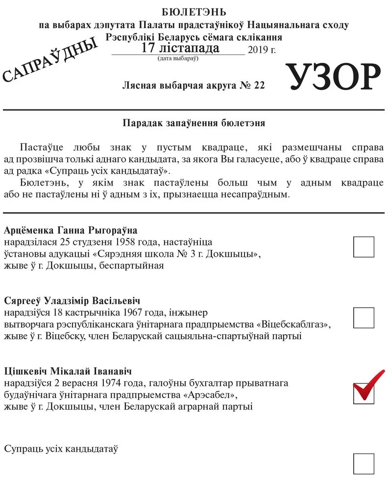 Вам доступен 1 бюллетень выборы президента. Бюллетень выборов президента Беларуси 2020. Форма бюллетеня для голосования. Бюллетень для голосования президента. Бланк голосования выборы президента.