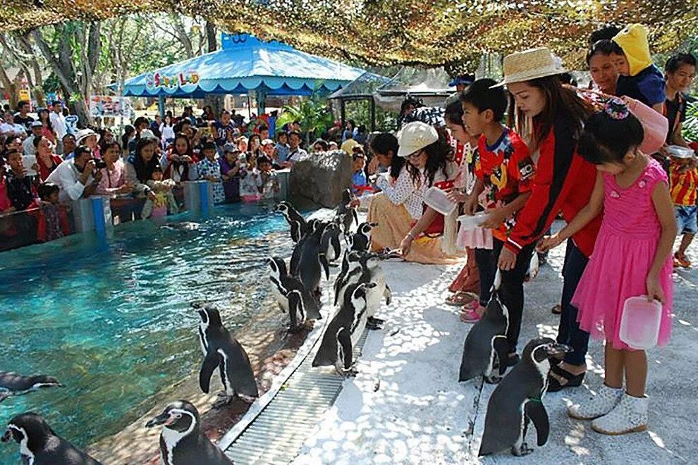 зоопарк кхао кхео. зоопарк кхао. зоопарк кхао. зоопарк кхао кхео. као кео тайланд зоопарк.