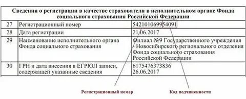 Сайт фсс узнать регистрационный номер