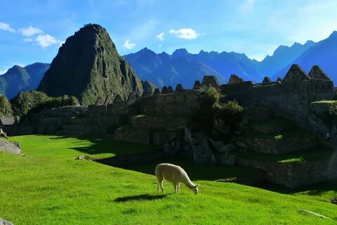Wild mountain