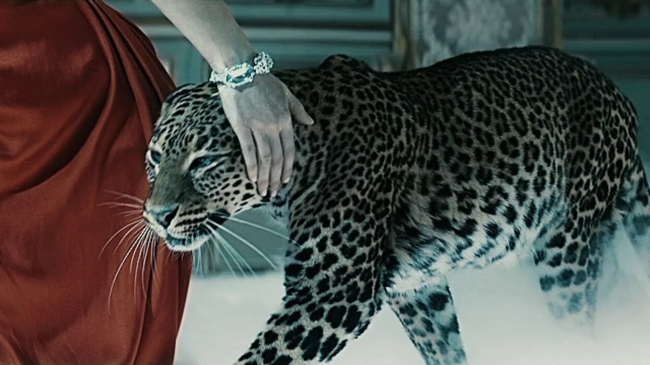 Ice and fire morgan. Stive morgan фото zov predkov. вслед за змеями арты. Stive morgan ice and fire. Stive morgan ice and fire.