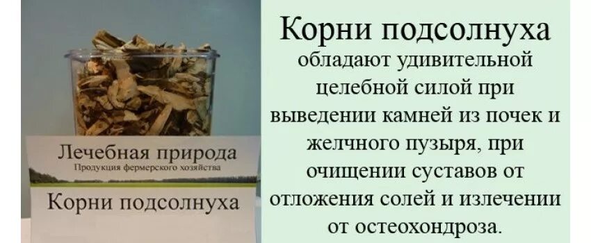 Семечки при желчном можно ли. Семечки при цистите. Камни в почках препараты. Семечки при желчном можно ли. Причины развития камней в желчном.