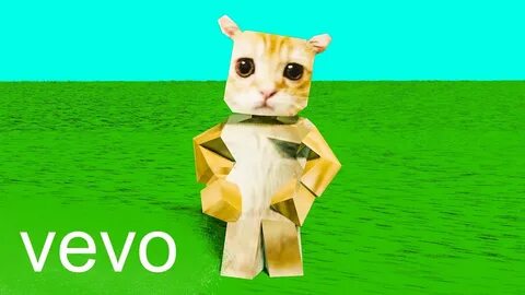 Котик гато