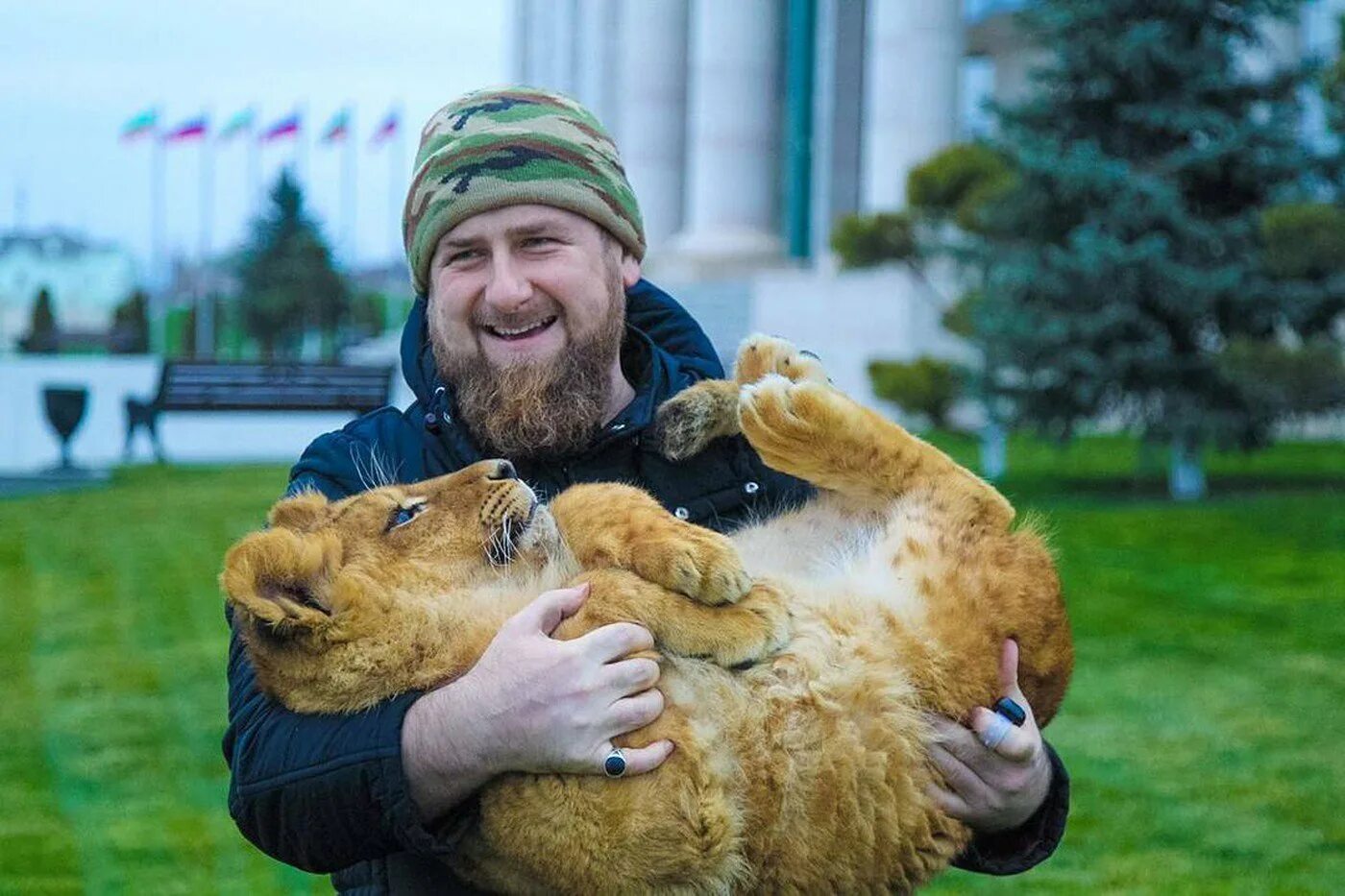 Ramzan Kadyrov и его собаки. Лев Рамзана Кадырова. Рамзан Кадыров с тигренком. Кадыров няшка.