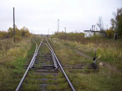 Работа станции лесная