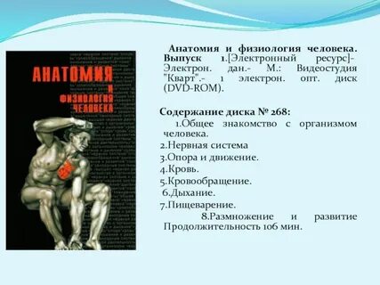 Физиология человека в работе