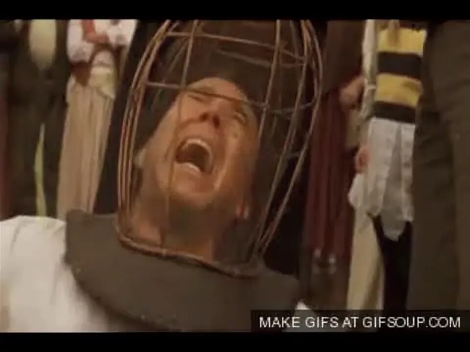Not the bees