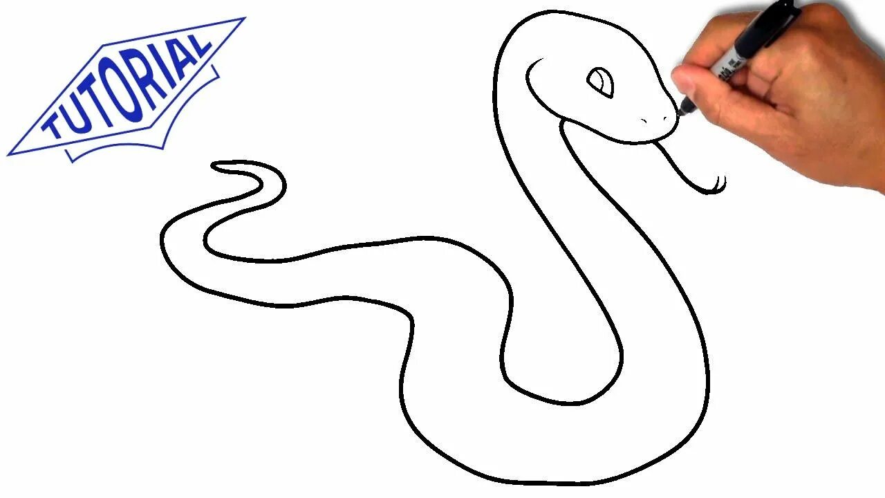 Змея рисунок. Рисунок змеи карандашом для срисовки. Рисунок змеи для детей. Рисунки для срисовки змея.