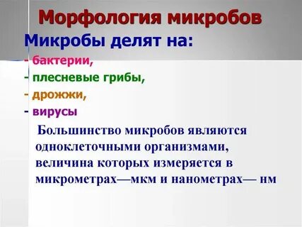 Морфология экология