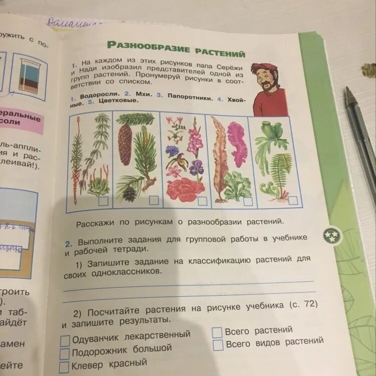 Выполните задания для групповойрв оты. Задание на классификацию растений. Разнообразие растений 1 класс задания. Окружающий мир рабочая тетрадь разнообразие растений.