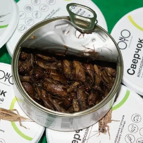 Можно ли стрижу консервированные сверчки. Сверчки маринованные. консервированные сверчки для эублефара. магазин 4 лапы сверчок консервированный. фото консервированные сверчки для рептилий.