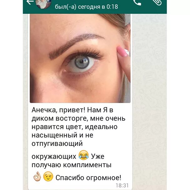 отзыв бровисту.