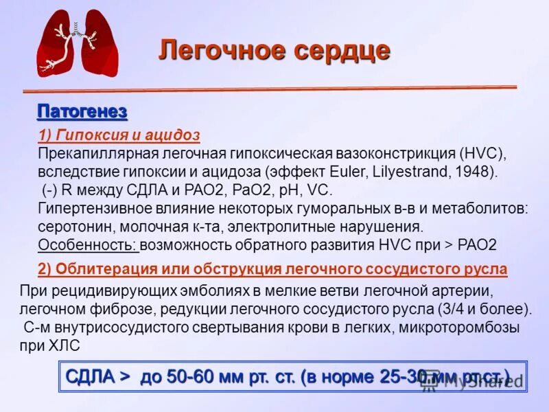 легочное сердце патогенез