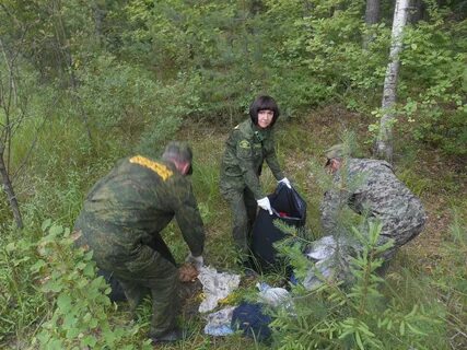 Волжское участковое лесничество