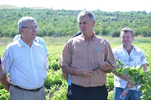 Село Просянка Ставропольский край. Село Просянка Ставропольский край Петровский район. С Просянка Петровского района Ставропольского края. Глава администрации Ставропольский край Петровский район. Петровская администрация ставропольского края