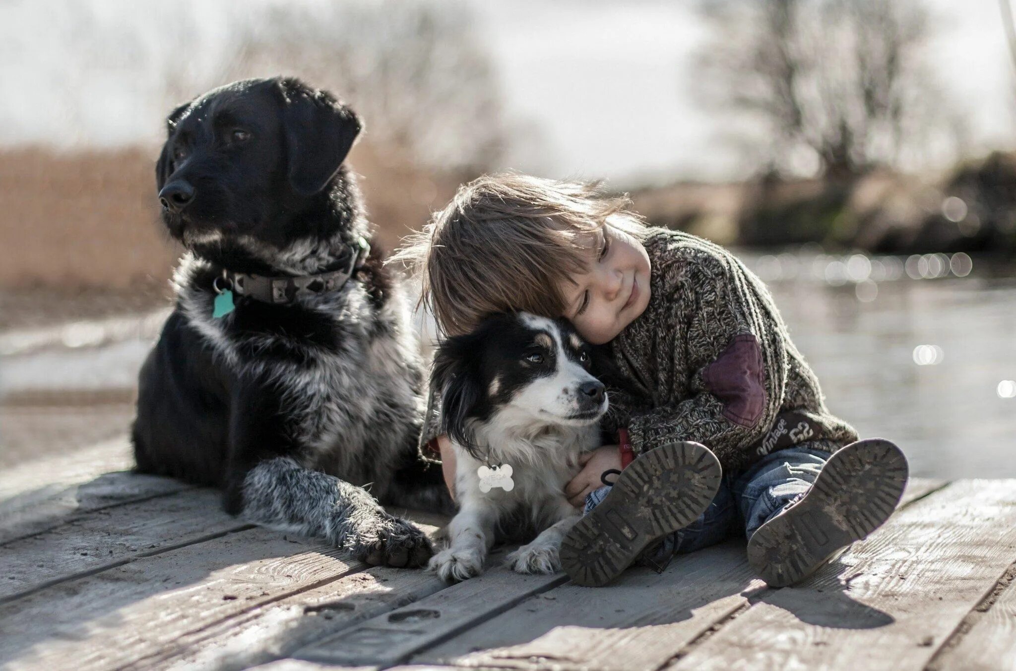 Самая добра картинка. Доброта к животным. Дети и бездомные животные. Собака друг человека. Милосердие к животным.